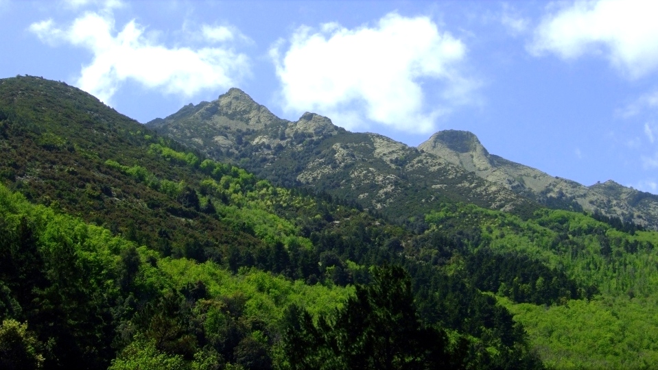 Arrivare sull'Isola d'Elba