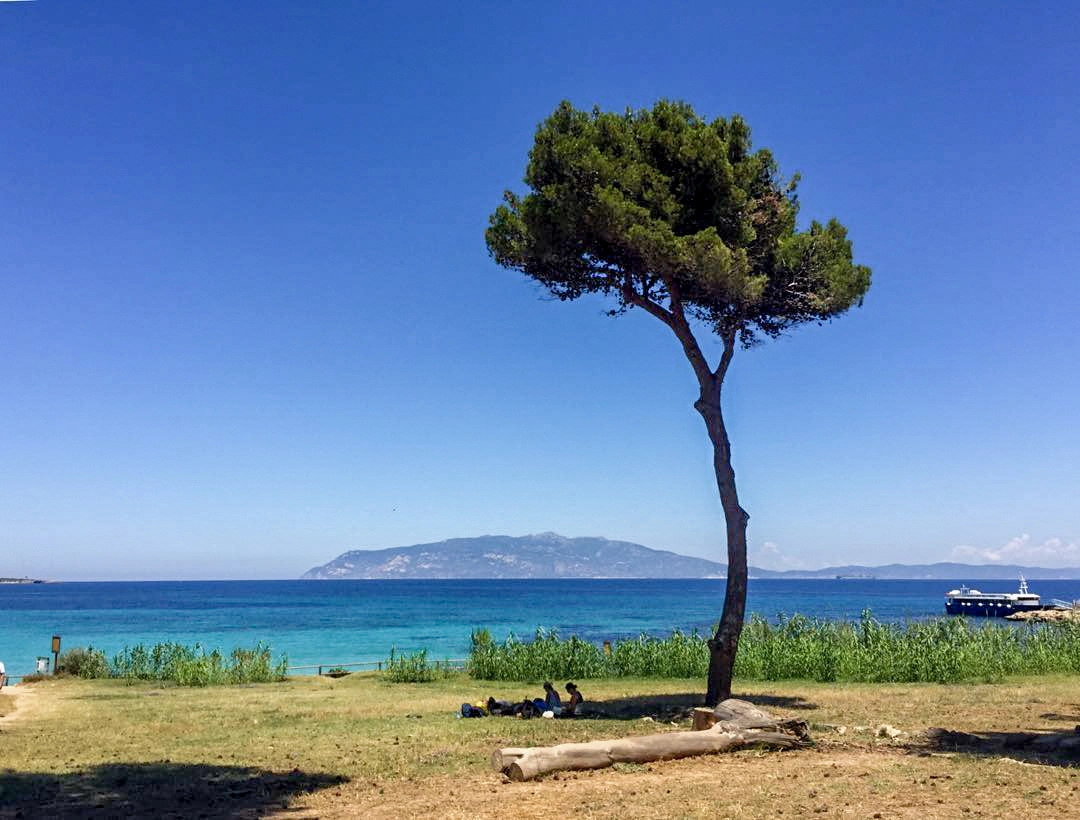 Isola di Pianosa